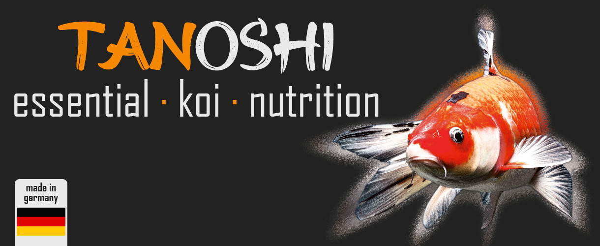Tanoshi Logo mit Koi-Fisch und Logo made in germany